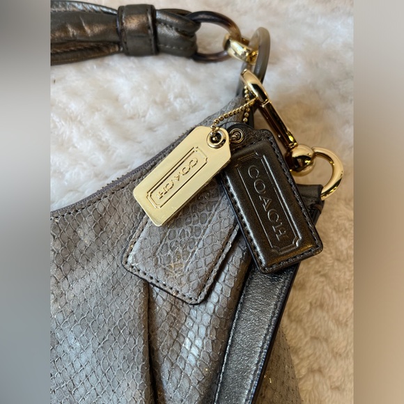 Coach Kristen Grey Python Embossed Leather Hobo Bag - Picture 5 of 10